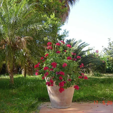 San Leonardo Mascali